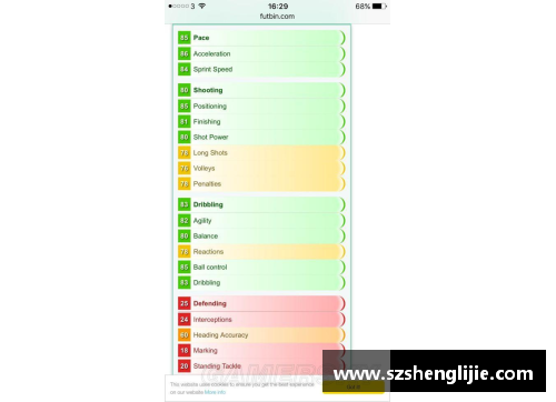 分析球员参赛记录的方法与技巧