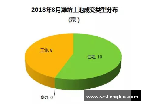 摩洛哥足球运动员统计数据及分析