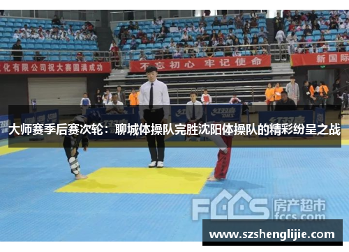大师赛季后赛次轮：聊城体操队完胜沈阳体操队的精彩纷呈之战