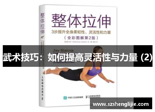 武术技巧：如何提高灵活性与力量 (2)